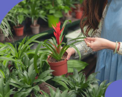 用「自然」陪伴自己和他人—遇見專屬的自然療癒力