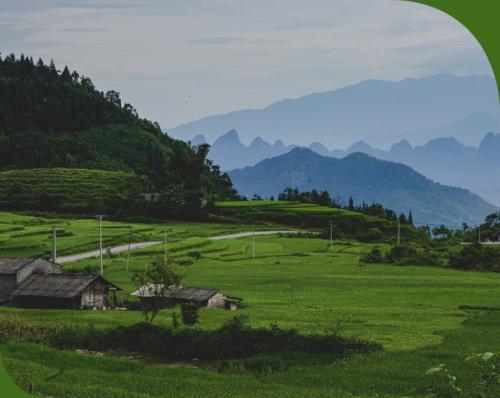 土地、文化與記憶——田野如何成為書寫的根
