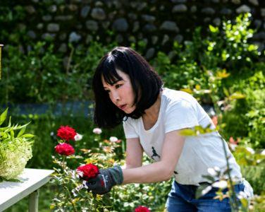 南方植物香氣學──從高屏在地植物開始，打造天然生活提案